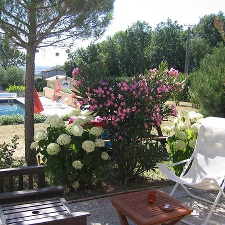 Arbre De Rose